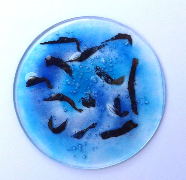 cive en verre Cive 9 Vitrail Marie.D